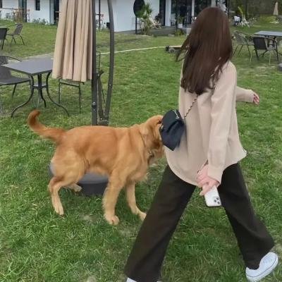 绝世好爸粤语